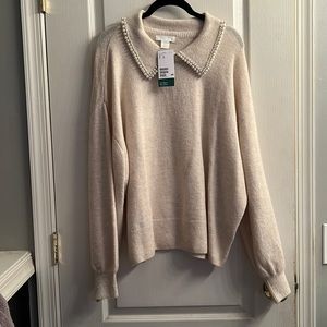 H&M Pearl Collared Sweater